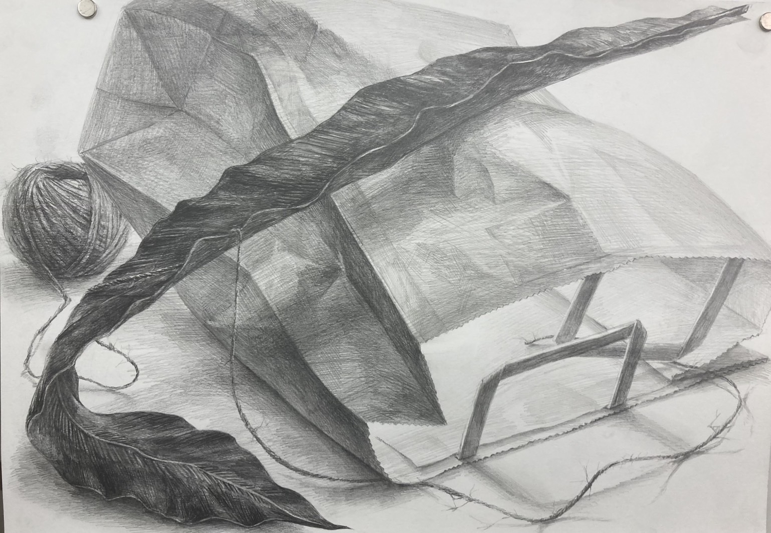 �Č�2022�f�b�T��